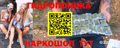 jwh Гусев