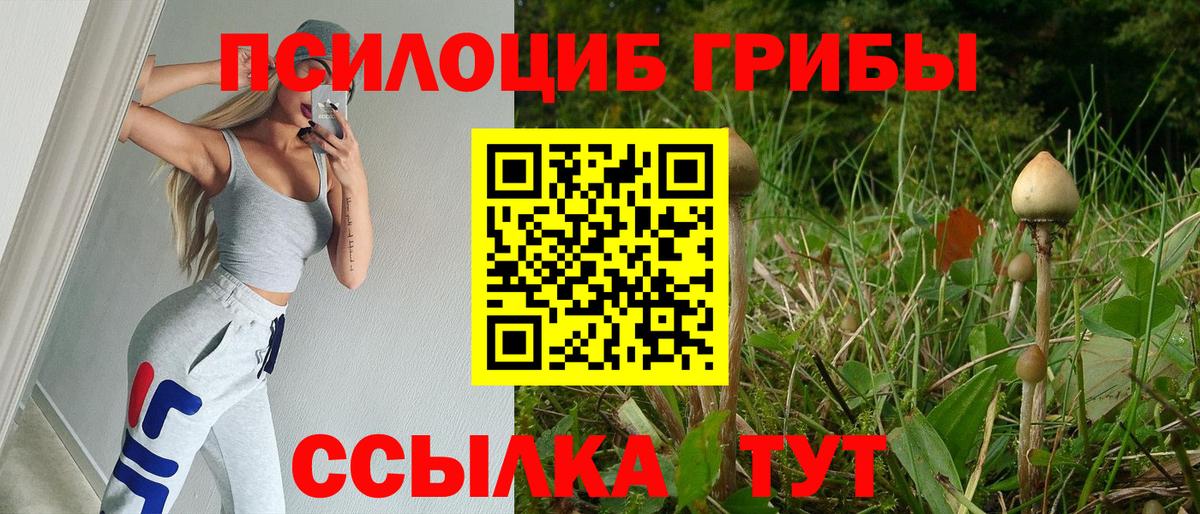 Галлюциногенные грибы MAGIC MUSHROOMS  Вход с VPN  Великие Луки  Псилоцибиновые грибы GOLDEN TEACHER 