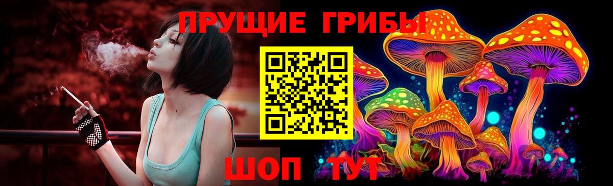 Галлюциногенные грибы прущие грибы Великие Луки